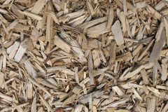 biomass boilers Rawgreen