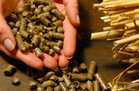 free Rawgreen biomass boiler quotes